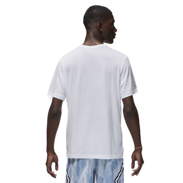 Nike jordan sport dri fit ss top fn5829 100 2