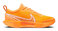 Nike zoom court pro hc dv3278 700 1