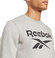 Reebok ri big stacked logo crew 100050273 3