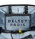 Delsey wagram 6