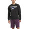 Reebok identity big logo fleece crew 100206935 1