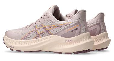 Asics gt 2000 12 goretex women 1012b507 700 5